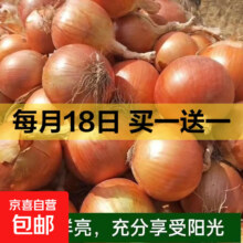 新鲜黄洋葱 2斤*2件（买一送一）