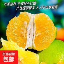 福建果园直发 翡翠葡萄柚 8斤-9斤装 家庭款 净重8斤 赠便携榨汁器