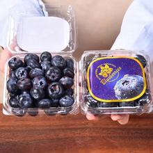蒲恋京榜 蓝莓云南L25花香蓝莓 125g/盒（净100g）单果16mm+ 4盒装
