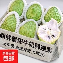 京喜加 释迦果凤梨牛奶 特级果1斤装 单颗150g+