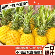 正宗金钻 凤梨 1个 1.3-1.7斤
