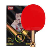 红双喜 DHS 九星狂飚乒乓球拍 横拍 H9002 黑檀芳碳 赠球