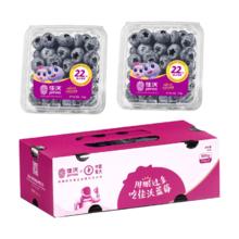 佳沃 脆脆花香云南蓝莓 22mm+4盒装 约125g/盒 年货水果 源头直发