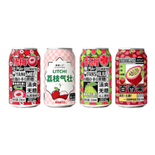 杨梅百香果番石榴荔枝果汁汽泡水 320mL*8罐 四口味混装