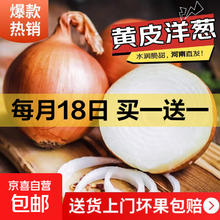 黄皮洋葱 现挖白肉脆甜生鲜 2斤装*2件（买一送一）