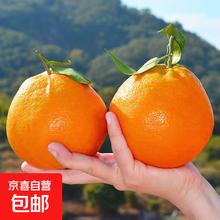 京喜加 耙耙柑 新鲜水果 生鲜 整箱5斤装