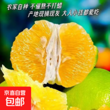福建果园直发 翡翠葡萄柚 8斤-9斤装 家庭款 净重8斤 赠便携榨汁器