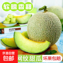 海南玫珑瓜网纹瓜哈密瓜 新鲜现摘 冰淇淋蜜瓜 软糯香甜 净重4.5-5.5斤【2-3个瓜】