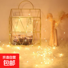 LED灯串 2米20灯