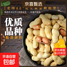 村哥俩 多味带壳花生 原香味 500克*2袋 东北小珍珠花生