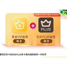 爱奇艺黄金VIP会员年卡 京东PLUS会员年卡