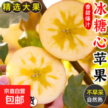 冰糖心苹果 山西红富士 高山脆甜丑苹果 4斤带箱 70mm+