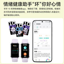 华为 心率监测 智能手环10标准版