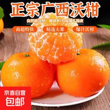 正宗广西武鸣老树沃柑 新鲜水果 当季整箱 8.5斤 单果75+