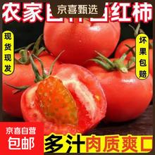 国产 多汁番茄 4斤 家庭装