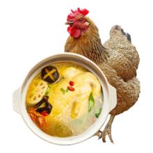 鲜京采 500天煲汤老母鸡2斤 500天慢养