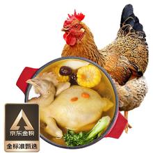 温氏 供港老母鸡 1.2kg 散养富硒500天龄