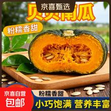 贝贝南瓜小果 5斤 带箱