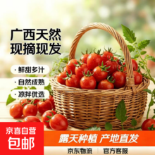 广西露天圣女果 带箱5斤4.5斤净重