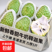 京喜加 释迦果凤梨牛奶 特级果1斤装 单颗150g+