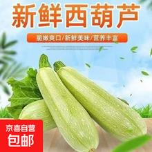 西葫芦带箱 2斤