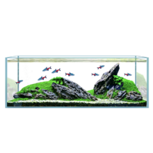 长锐 金晶超白鱼缸 15x15x15cm 4mm 套餐送垫+礼包