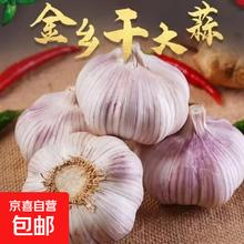 金乡农家 自种大蒜 200g 8头