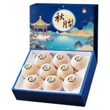 亨迅 山东羊脂秋月梨 莱阳真秋月梨 精品净重4.5-5斤装 350g起（4-6粒）
