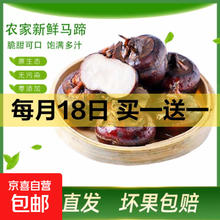 东东买菜 新鲜马蹄荸荠 2斤带箱*2件（买一送一）