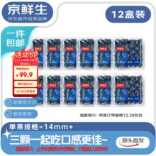 限移动端、京东百亿补贴：京鲜生 云南蓝莓当季 12 盒中果 14mm+（净重 125g / 盒）