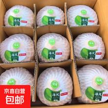 今日必买：水果码头 泰国进口椰青 9粒装 送开椰器吸管