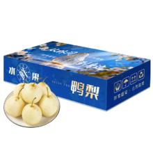 再降价：河北赵县脆甜鸭梨 新鲜水果梨子 薄皮酥脆超甜 带箱3斤（净重2.5斤）