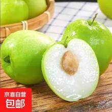 福建牛奶大青枣 贵妃奶蜜枣 新鲜水果 甜脆 净重5斤 单果50g起