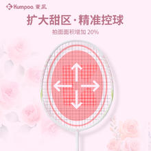 薰风 羽毛球拍复合碳素纤维超轻专业双拍熏风k520pro套
