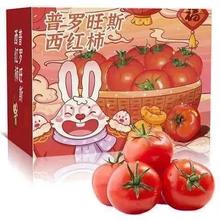 古寨山 普罗旺斯口感番茄西红柿净重2.25斤源头直发