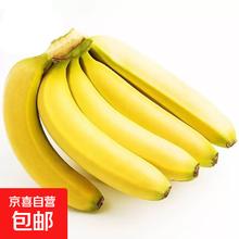 广西甄选高山香蕉新鲜当季水果青香蕉自然熟普通惊喜香甜软糯 香蕉青蕉发货 2斤
