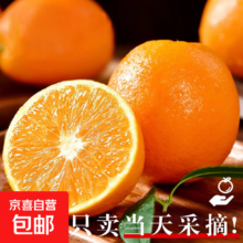 京东 赣南脐橙 薄皮应季新鲜水果 9斤净重(85-95mm大果) 彩箱发货
