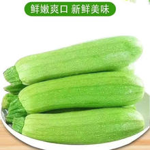 京喜加 新鲜西葫芦角瓜 新鲜西葫芦 4斤