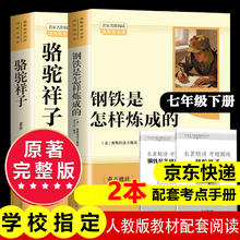 《骆驼祥子》和《钢铁是怎么样炼成的〉
