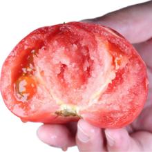闭眼买：攀枝花新鲜沙瓤西红柿 带箱5斤 单果50g+