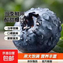 限时1小时！云南当季蓝莓 2盒小份装 70g/盒