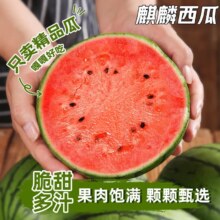 春福乐 麒麟西瓜8424 无籽有籽 薄皮美都甜王 当季新鲜 现摘 6-7斤