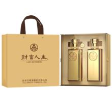 五粮液 财富人生 52° 浓香型白酒 500ml×2瓶