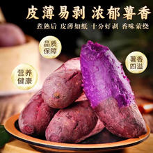 新鲜沙地紫薯2斤小果 含箱