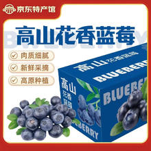 异果恋 云南L25新鲜蓝莓现摘现发15mm+125g*4盒*净重100g/盒