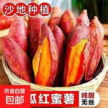活动只有今天！西瓜红蜜薯 2斤装中大果