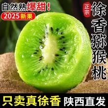 康田汇 陕西徐香猕猴桃 绿心奇异果 15个单果50-80g精选装 新鲜采摘