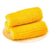 真空黄玉米 东北甜糯玉米 4根*200g
