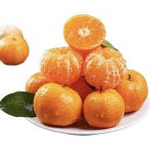 广西砂糖橘 新鲜薄皮蜜桔 当季水果 带箱9斤