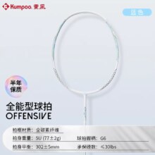 薰风 新手羽毛球拍 耐打入门训练羽球拍 学生家庭娱乐 羽毛球拍